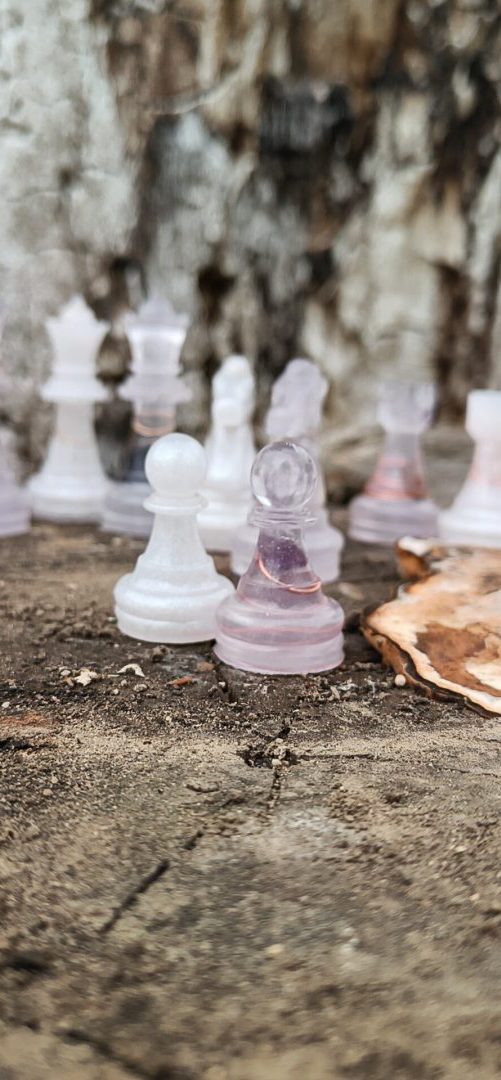 Niymaea echiquier jeu d echecs pions bois resine onirique