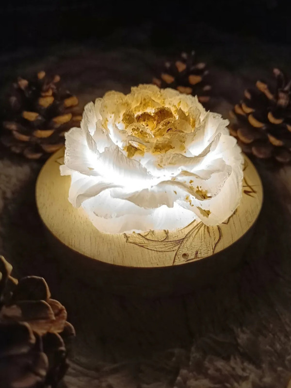 niymaea decoration poetique luminaire veilleuse deco