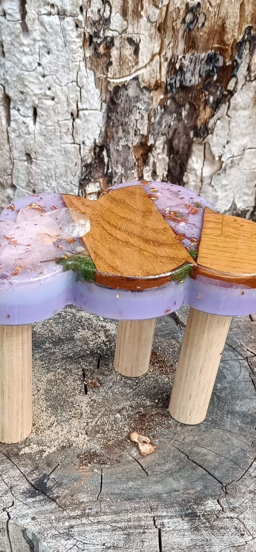 Niymaea decoration chambre feerique plante