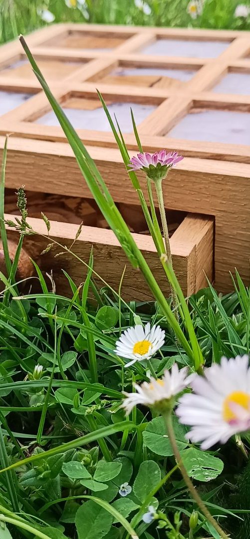 Niymaea jeux bois revisite poetique