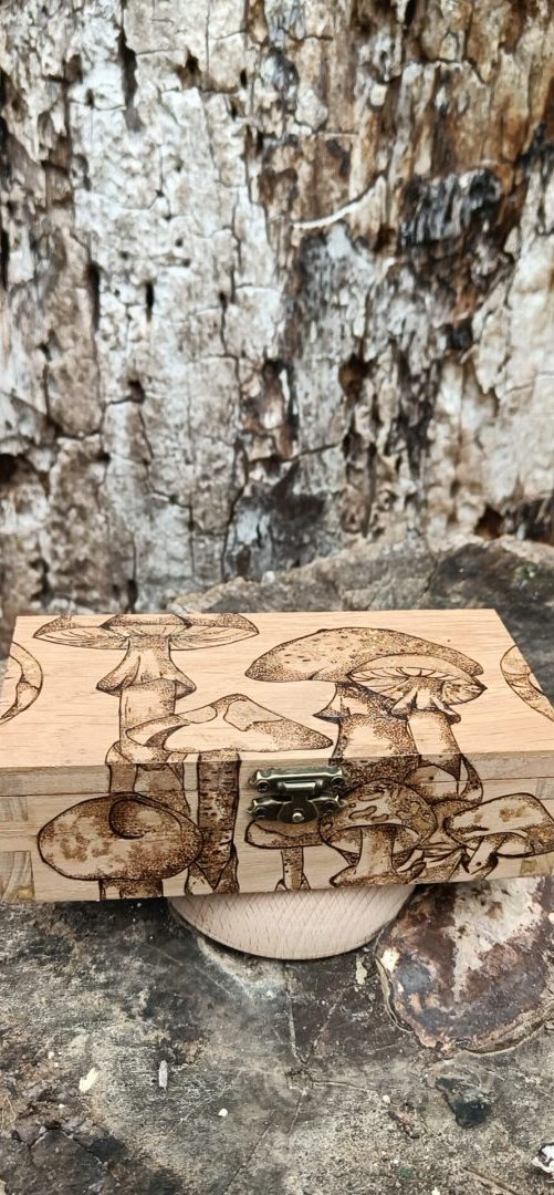 Niymaea jeux coffret sortilege damier pions