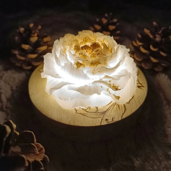 Niymaea lumiere bois poetique