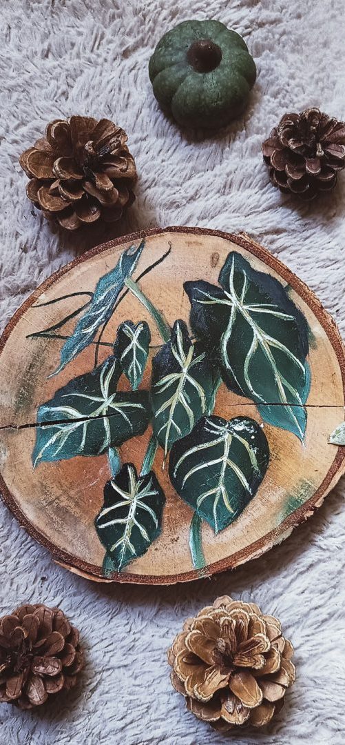 Niymaea peinture bois decoration feerique