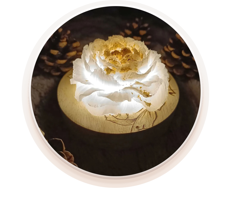 niymaea fond decoration lumineuse