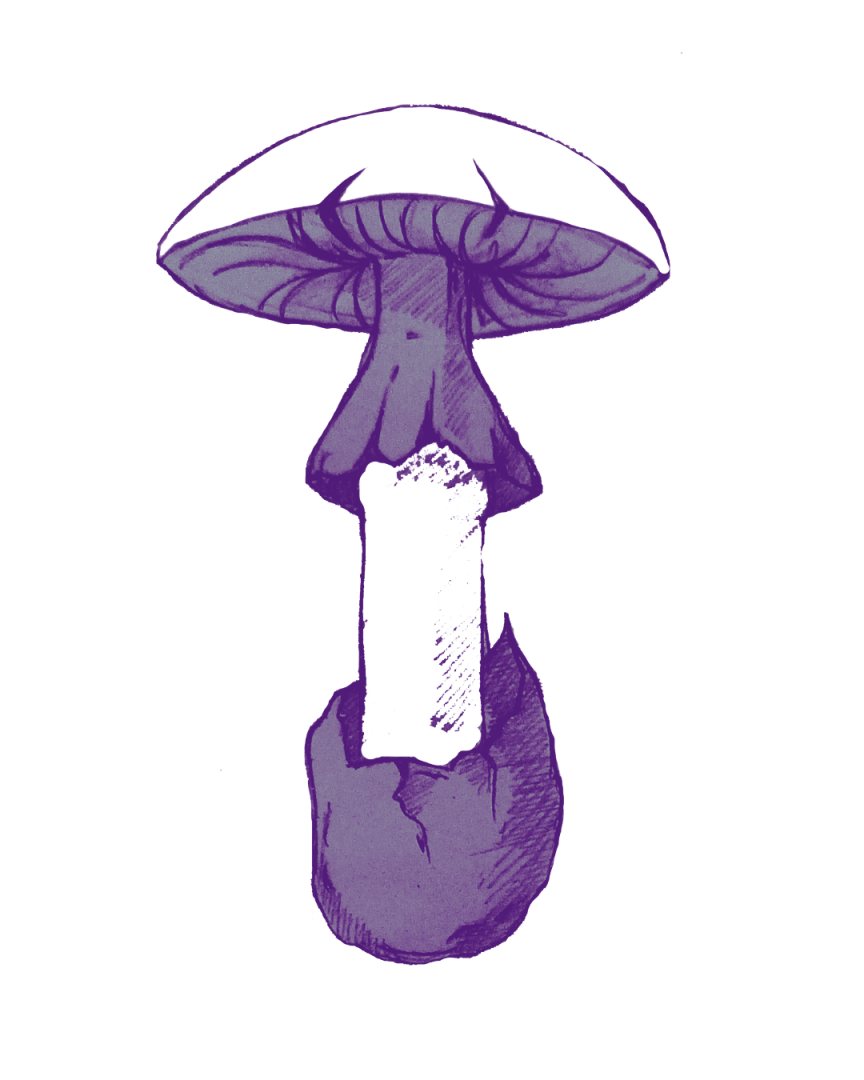 2Marron Minimaliste Horaires Boutique Publication Instagram