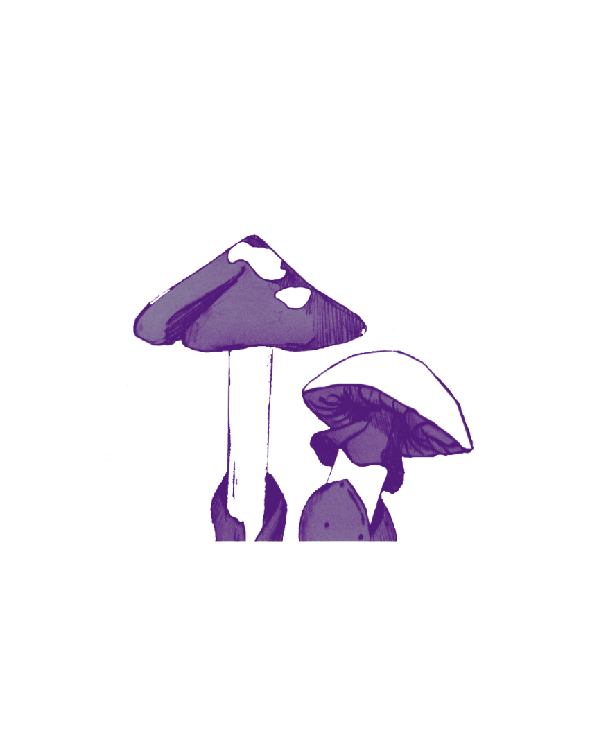 Beige Marron Minimaliste Horaires Boutique Publication Instagram